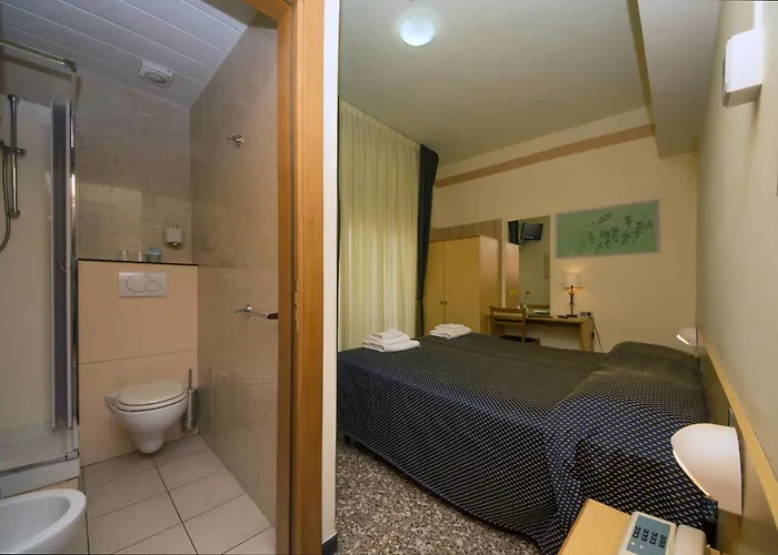 Savoia 3*
